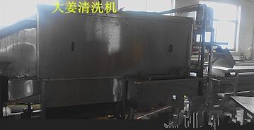 高产量大姜清洗机山东铭威制造