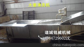 大姜清洗机，生姜清洗机价格